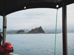 晉領號台東賞鯨
