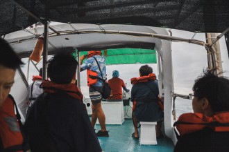 晉領號台東賞鯨