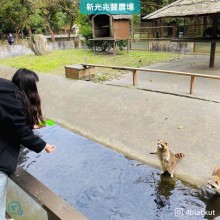 新光兆豐休閒農場