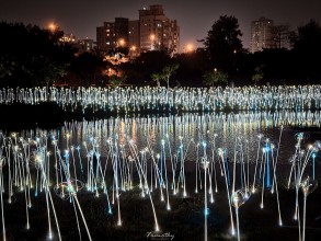 植光・花 Lighting Flowers