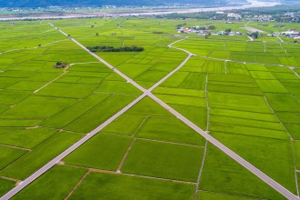 池上伯朗大道