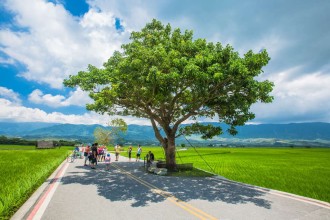 池上伯朗大道