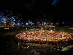 菊花夜行軍 100米花廊光譜 The Night March of the Chrysanthemums