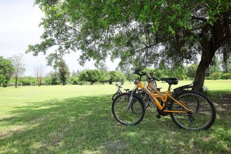 台東森林公園