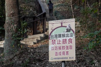 台東鯉魚山公園