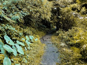 日湯真山岔路口