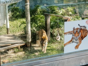高雄市壽山動物園