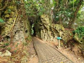 社頂自然公園