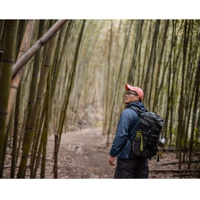 【霞喀羅國家步道】京都竹林楓葉這裡全都有！