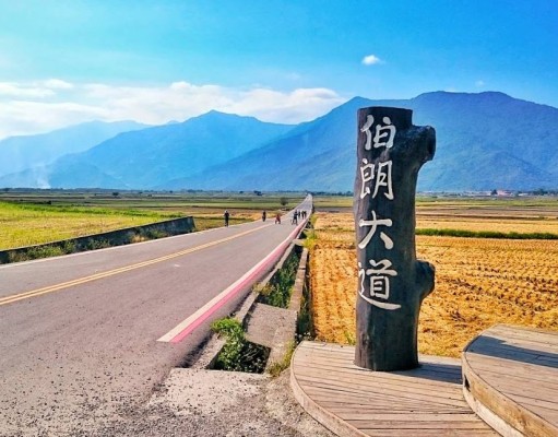 台東伯朗大道 池上美食一日遊